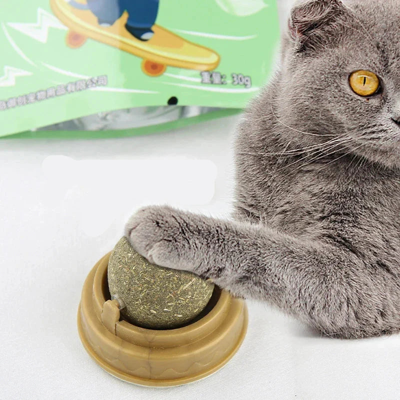 Brinquedo Para Gato Natural de Catnip